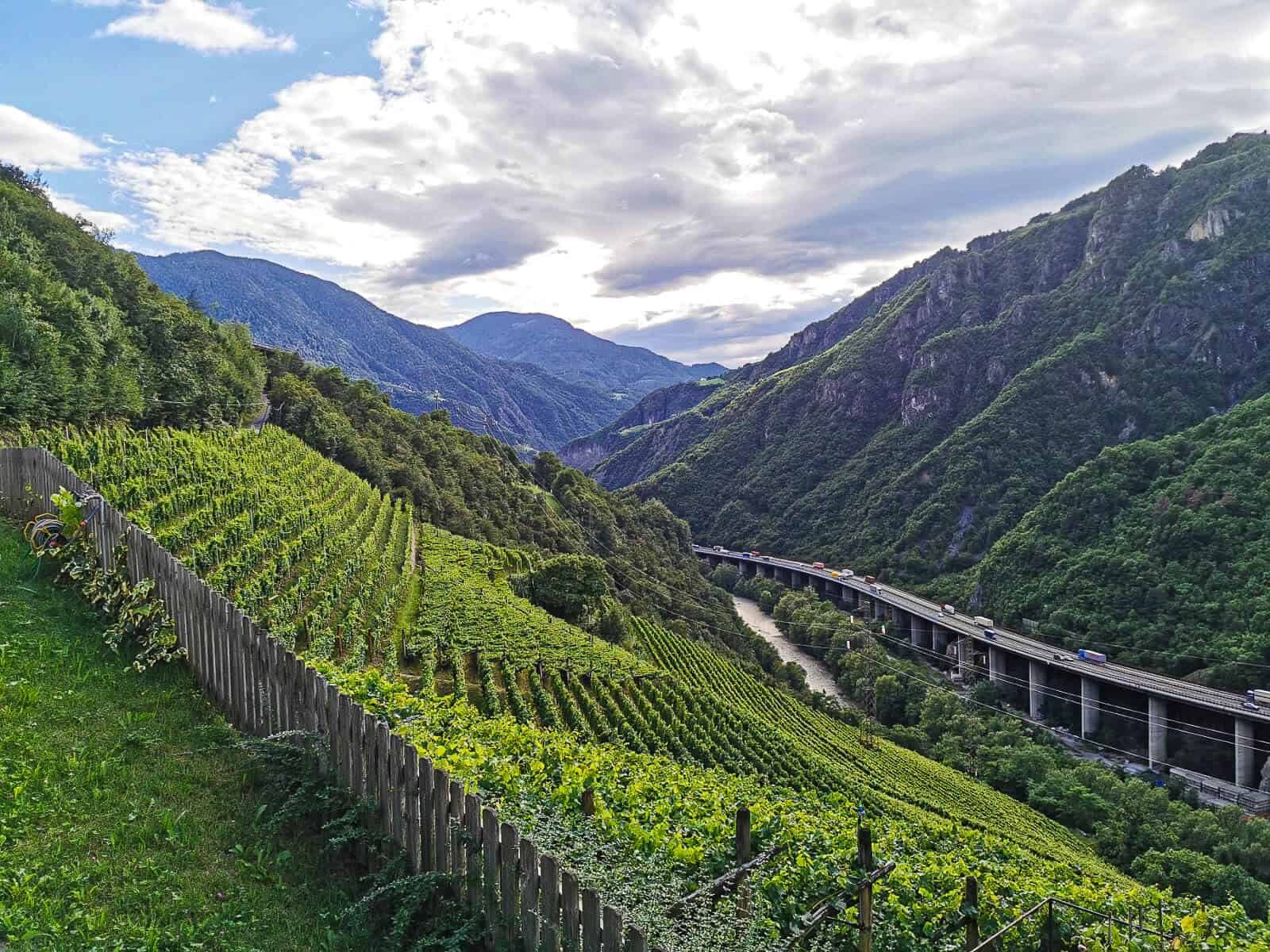 Gumphof Südtirol Winetasting