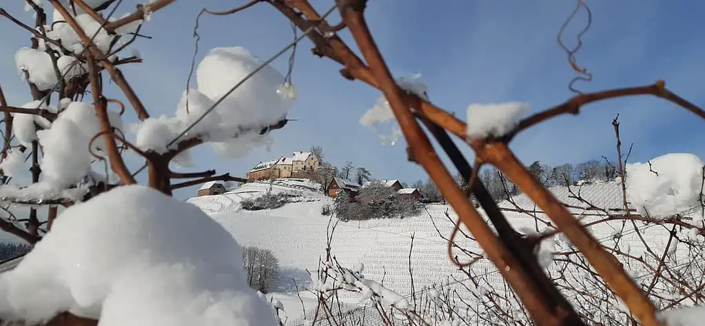 Schloß Staufenberg Markgraf von Baden im Schnee www.andib-liebt.de