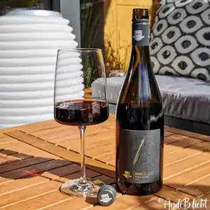 Avantage-Shiraz-Nett-Rotwein-www.andib-liebt.de