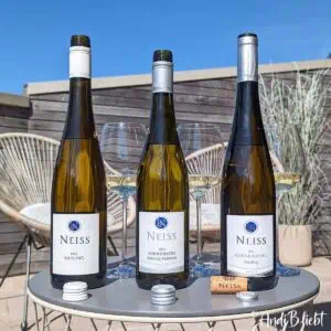 Riesling-Weingut-Neiss-Riesling-AndiB.liebt