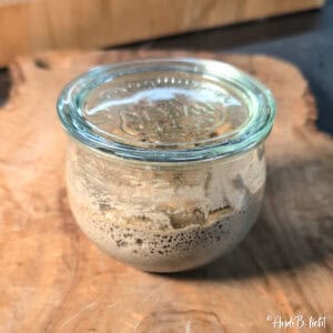 Sauerteig Ansatz Tag 3 AndiBliebt-6-2