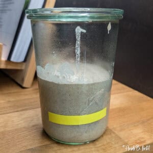 Sauerteig Ansatz Tag 5 AndiBliebt