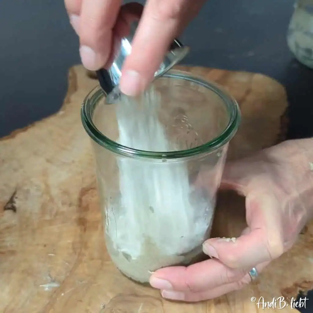 Sauerteigansatz Tag 5 AndiBliebt-5