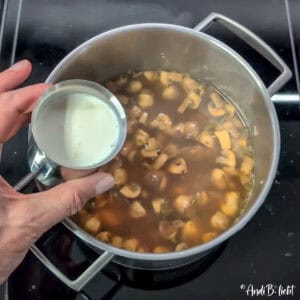 Pilzsuppe mit Croutons Titel AndiBliebt Anleitung-2