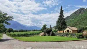 Weingut Kornell bei Bozen Südtirol AndiBliebt -2
