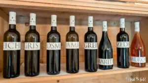 Weingut Kornell bei Bozen Südtirol Brigl AndiBliebt -2-3