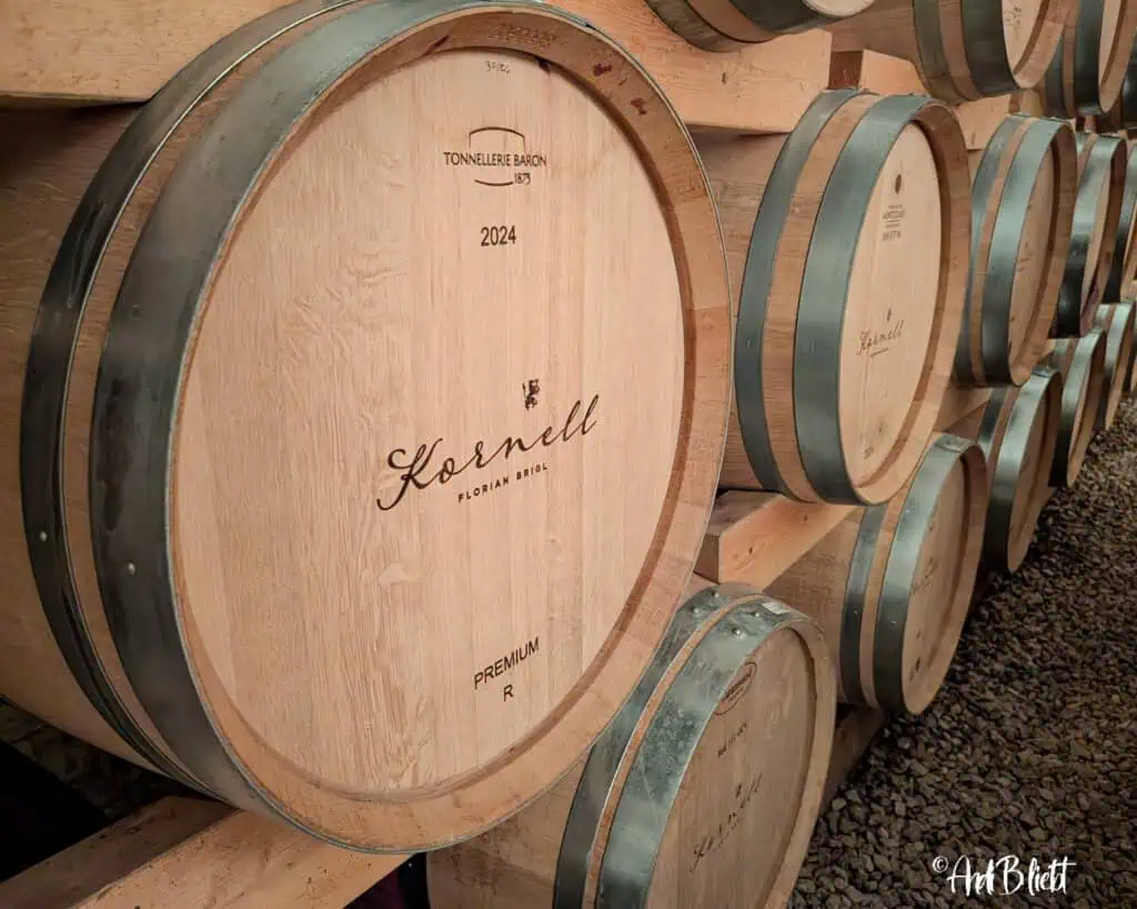 Weingut Kornell bei Bozen Südtirol Brigl AndiBliebt -6