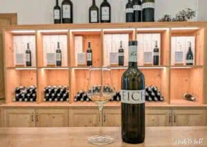 Weißburgunder Südtirol Mineralisch Eich Kornell Weingut AndiBliebt -1-6