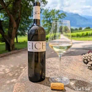 Weißburgunder Südtirol Mineralisch Eich Kornell Weingut AndiBliebt Titelfoto