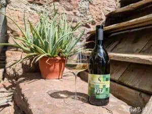 Kitz Leichter Weißwein Südtirol Rottensteiner Weingut AndiBliebt -30