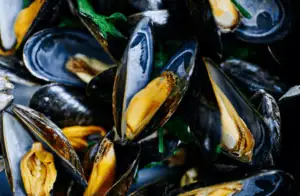 Miesmuscheln-Rezept-Italienisch-Nahaufnahme-Andib.liebt