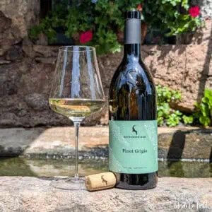 Pinot Grigio Südtirol Rottensteiner Weingut AndiBliebt-Titelfoto