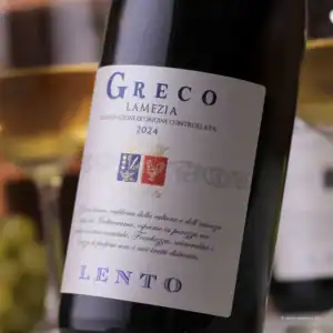 Vipino-lento-greco-lamezia-2024-1-AndiBliebt