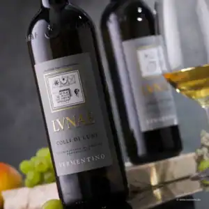 Vipino-lunae-vermentino-2025-etichetta-gr-AndiB.liebt