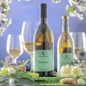 Weinempfehlung Miesmuscheln italienische Art Vipino AndiBliebt-rottensteiner-Pinot grigio