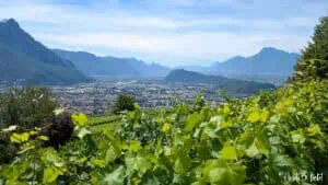 Weingut Rottensteiner Südtirol Bozen AndiBliebt -41
