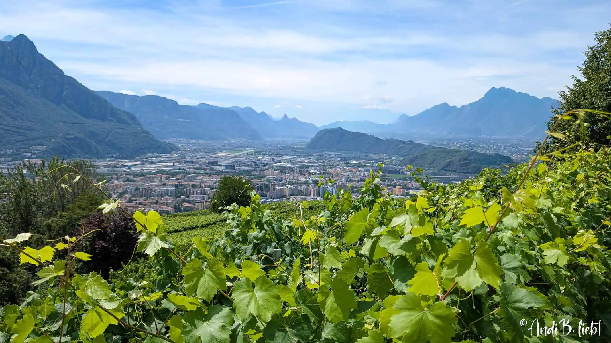 Weingut Rottensteiner Südtirol Bozen AndiBliebt -41