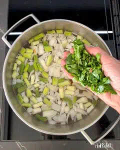Hühnersuppe wie bei Oma Zubereitungsschritt Petersilie